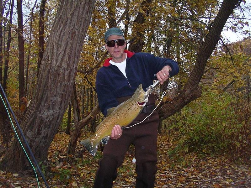 Brown2004.jpg