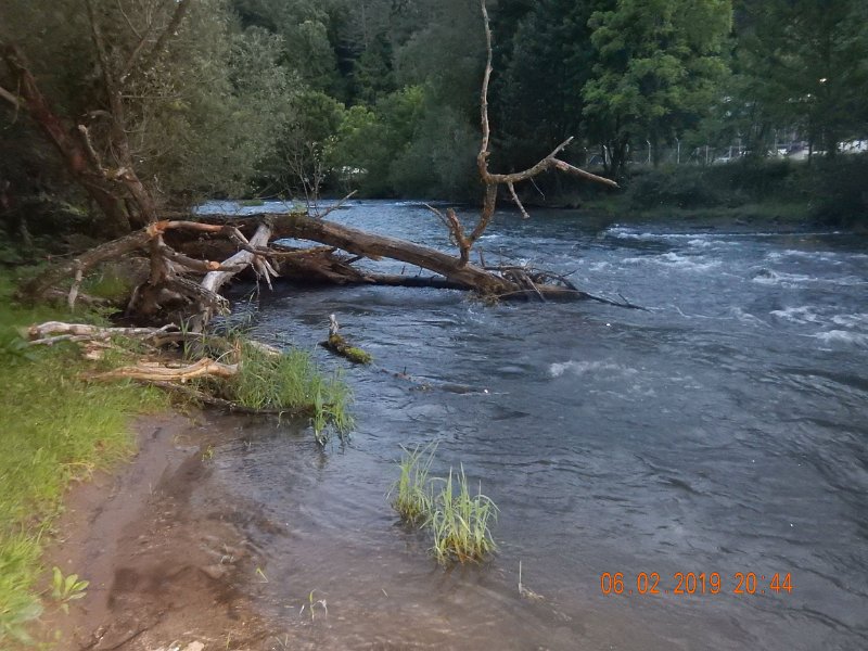 $BaldEagleStatePark2003$.jpg - One of my favorite spots on this stream.  Fish hold just behind the tree.