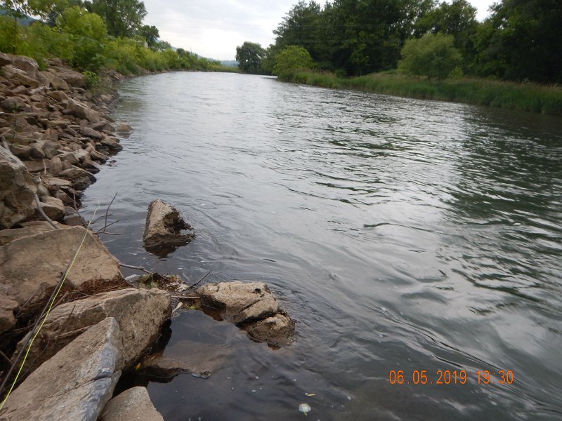 $BaldEagleStatePark2018$.jpg - That fish and the others I caught were living toward the edge of the stream, out of the faster water.