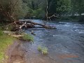 $BaldEagleStatePark2003$