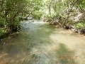 $BaldEagleStatePark2006$