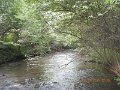 $BaldEagleStatePark2008$