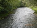 $BaldEagleStatePark2019$