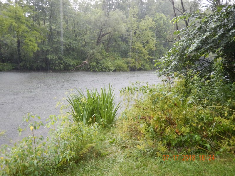 $Bald Eagle and Spring Creeks-004$.jpg - You can't see the rain falling but you can see the disturbance on the water.