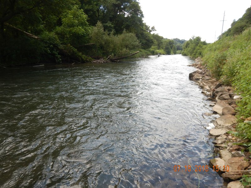$Bald Eagle and Spring Creeks-009$.jpg - Next day we went back to Spring Creek in the lower section.  Wading was a bit difficult.  Got one fish to the net here but it got away while I was pulling the hook.