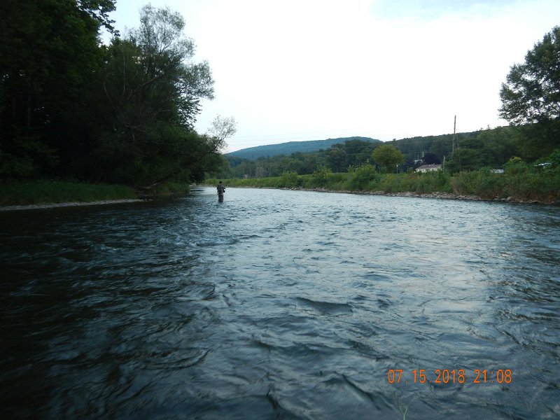 $Bald Eagle and Spring Creeks-011$.jpg - Started on Bald Eagle Creek. Larger water than I expected.