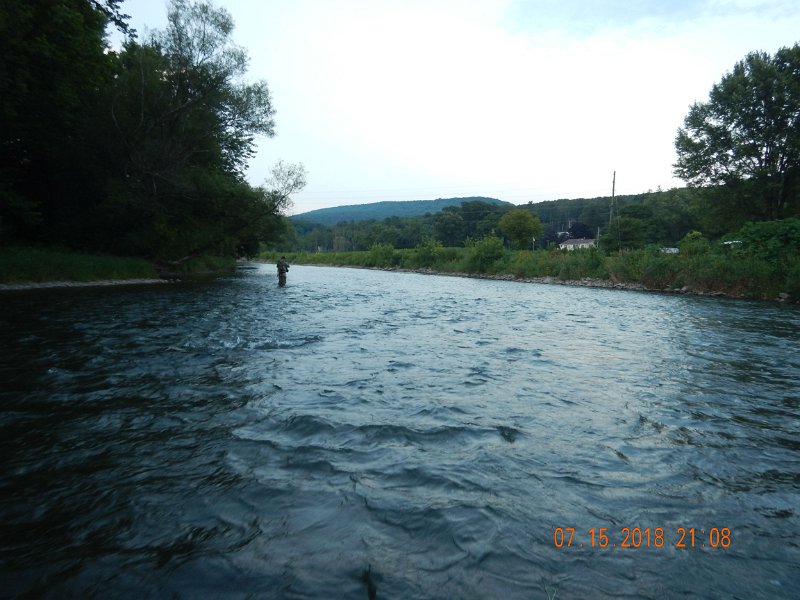 $Bald Eagle and Spring Creeks-012$.jpg - Temps hovered at about 68 degrees.  Air temp abt 93 deg.