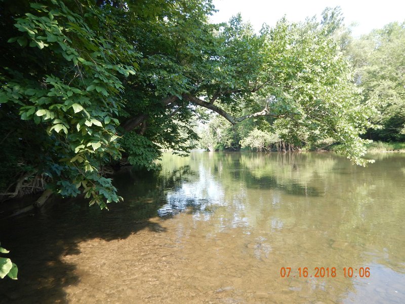 $Bald Eagle and Spring Creeks-016$.jpg - I noticed a fish rising to surface flies uder this tree next to the bank.  Hooray!  I get to fish dries. 
