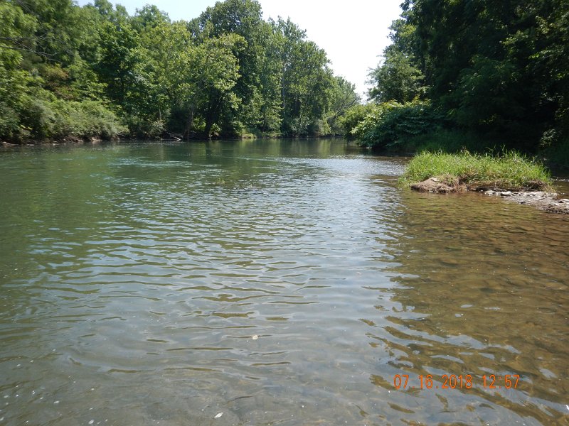 $Bald Eagle and Spring Creeks-023$.jpg - Those fish were living in the run, or pool, just to the left of the island on the right.