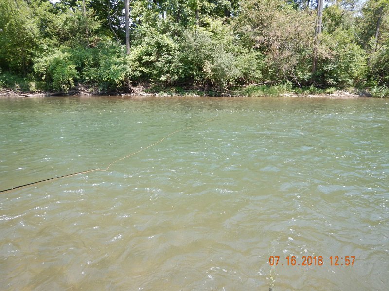 $Bald Eagle and Spring Creeks-024$.jpg - Here's the current next to the pool.