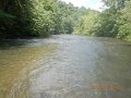 $Bald Eagle and Spring Creeks-001$