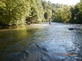 $Bald Eagle and Spring Creeks-006$