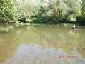 $Bald Eagle and Spring Creeks-015$