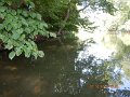 $Bald Eagle and Spring Creeks-020$