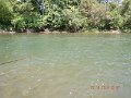 $Bald Eagle and Spring Creeks-024$