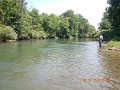 $Bald Eagle and Spring Creeks-027$