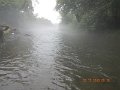 $Bald Eagle and Spring Creeks-032$