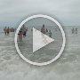 DSCN6761