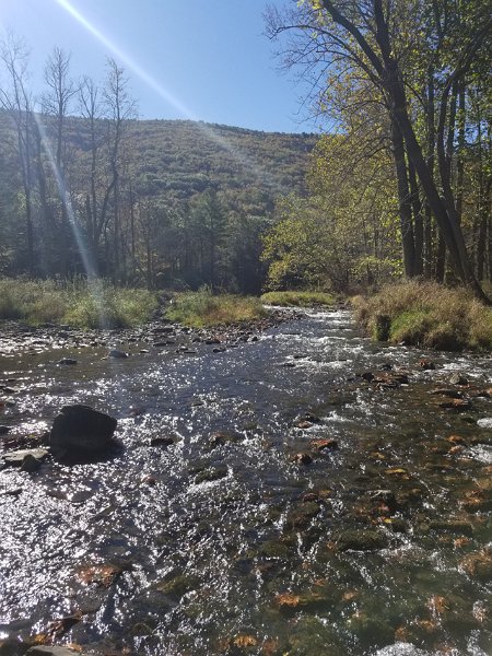 20171017_110854.jpg - Cant complain about the scenery though.