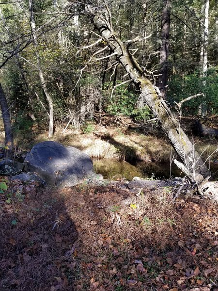 20171018_094040.jpg - Then we went back to Big Poe to harass the couple of rainbows we saw.  They ran away from all of our subsurface offerings.