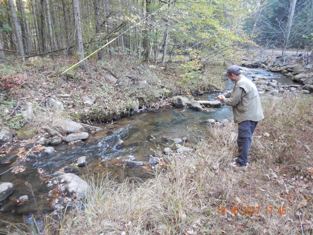 DSCN2707.jpg -                                This is ideal brookie water but we didn't even miss  fish.