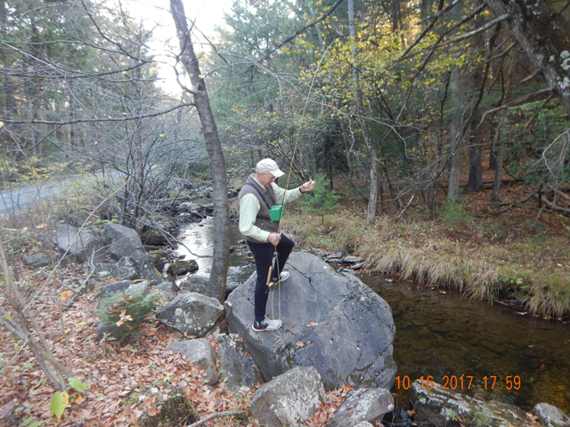 DSCN2708.jpg -                                We started at Big Poe Creek.  I remembered this stream held wild brookies...no more.  We saw a couple of stocked rainbows so we thought we'd try.
