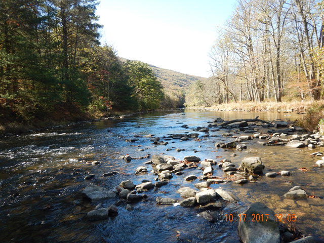 DSCN2711.jpg - This certainly is a pretty way to waste a day.                               