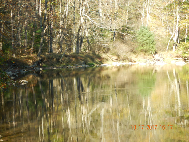 DSCN2725.jpg -                                See, a rise.  But, it was always junk fish.