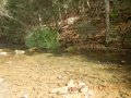 DSCN2706