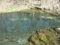 DSC01443