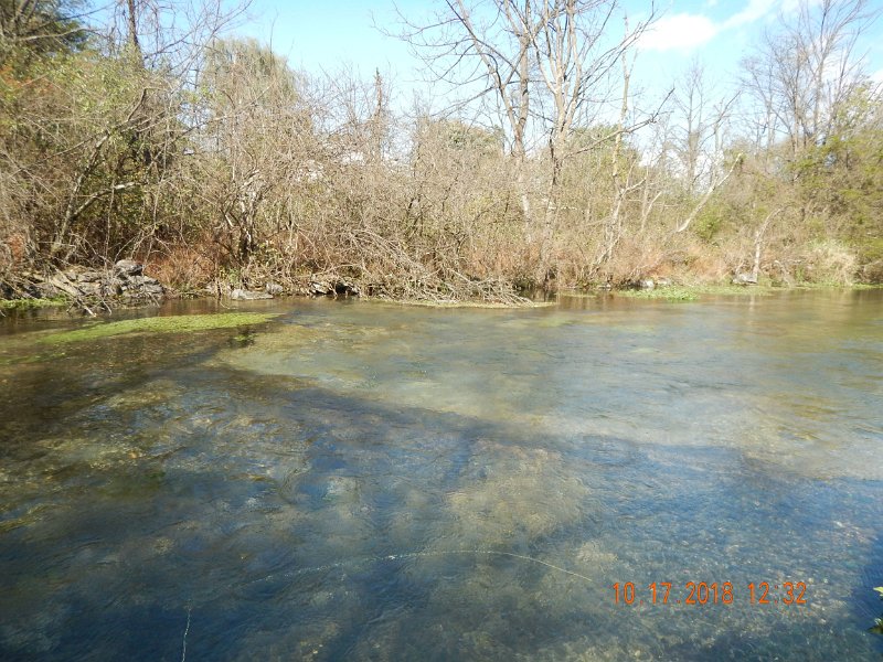 $Spring Creek003$.jpg - With the high winds, casting became a chore.