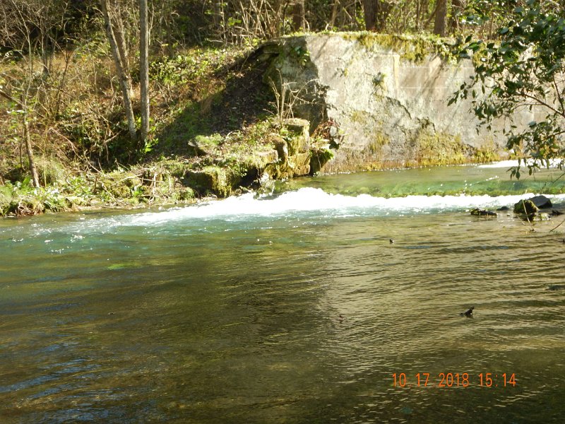 $Spring Creek006$.jpg - They were hunkered down in this fast water.