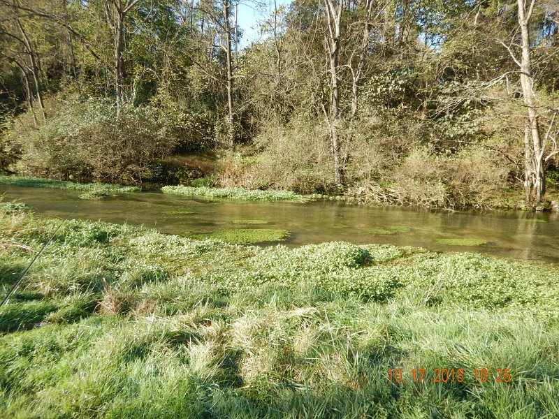 $Spring Creek008$.jpg - A beautiful, although typical, limestone stream.