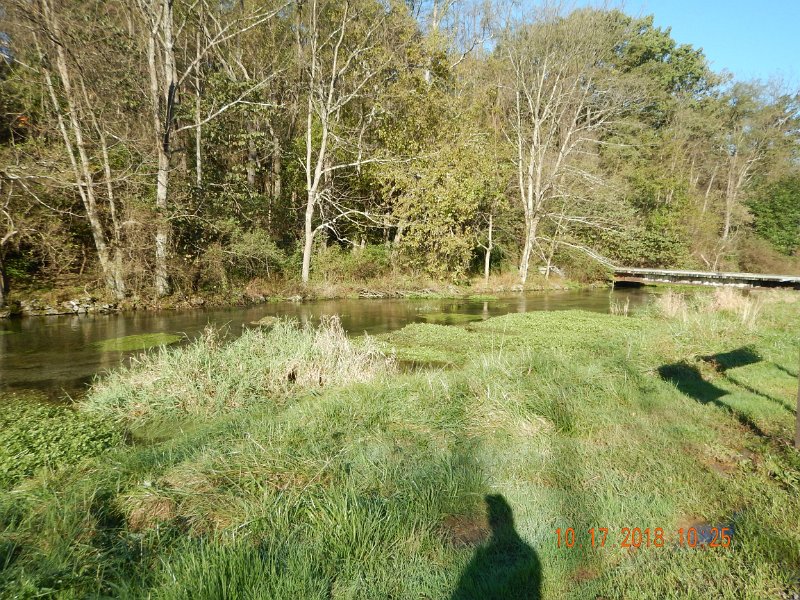 $Spring Creek009$.jpg - And yes, it is fed by a big spring.