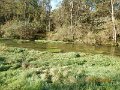 $Spring Creek008$