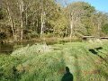$Spring Creek009$