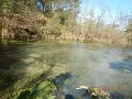 $Spring Creek013$