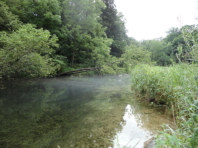 DSC01041.jpg - Scenic - Big Spring -  Water is gin clear                               