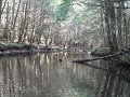 DSC01052
