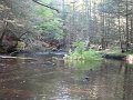 DSC01053