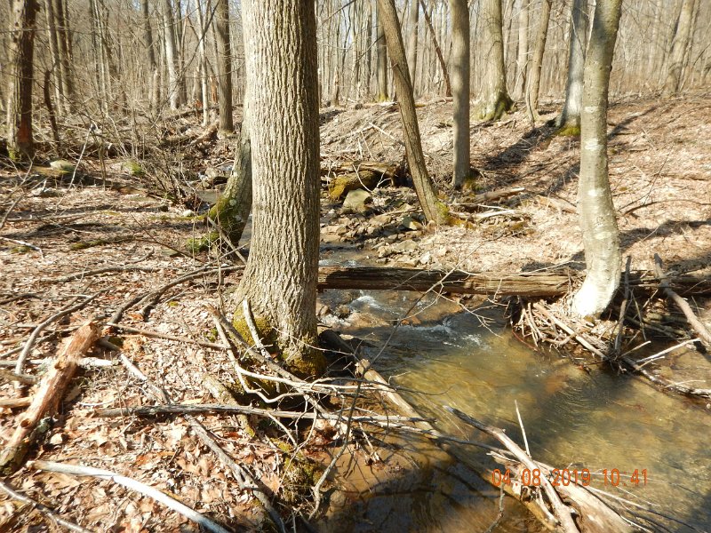 $BigSpringPatterson1004$.jpg - Little pools were the only productive areas.