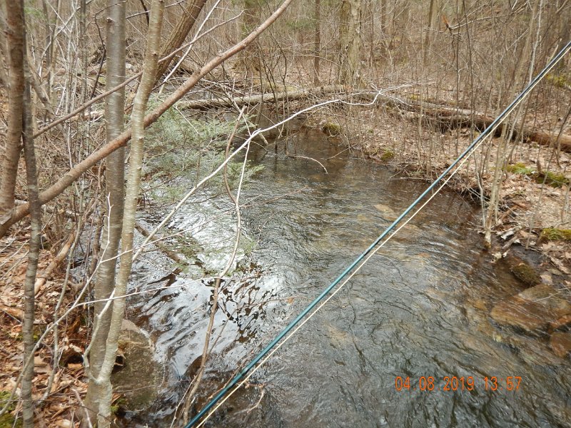 $BigSpringPatterson1008$.jpg - I stumbled on this hole...must have been 4 ft deep.  A real surprise in this stream but alas, no fish here.  Maybe the fish stopped biting by 1400 hrs.