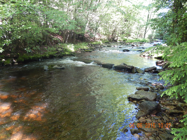 DSCN1420.jpg -                                Here is where the fish was taken from.