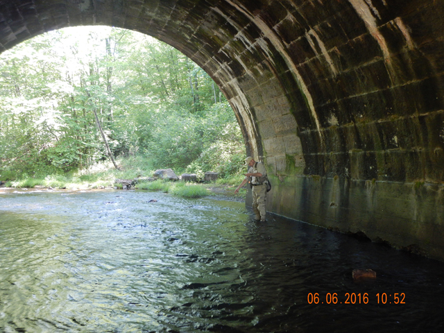 DSCN1422.jpg -                                Here is where he was fishing to get the little native