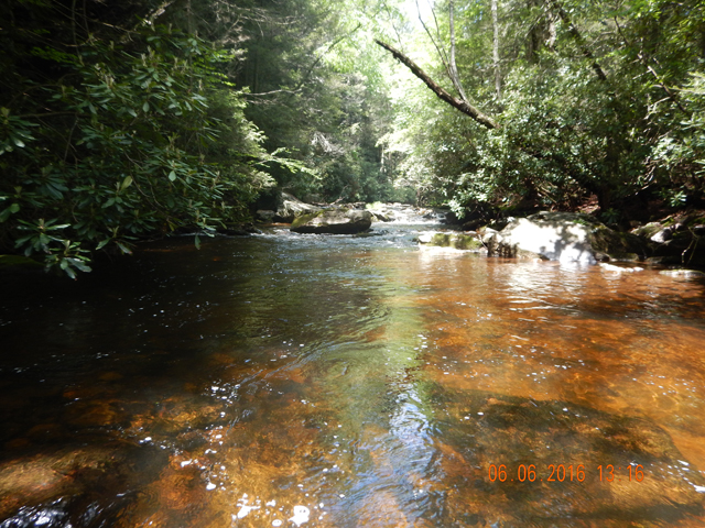 DSCN1426.jpg -                               Since the Lehigh was running high and fast, we went back upstream on Black Creek.  It too was swolen but still very fishable.  And, the browns were hitting. 