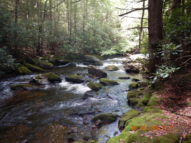 DSCN1432.jpg -                                But the stream was beautiful as well.  Tanic colored water and bolders with green moss was absolutely amazing.