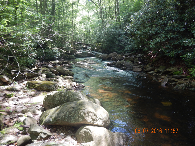 DSCN1435.jpg -                                He was holding in the first hole I fished.  This stream is scenic too!