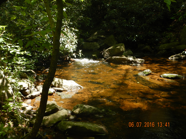 DSCN1450.jpg -                                The previous fish came from this run.
