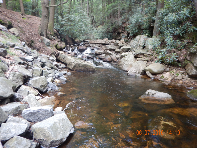 DSCN1453.jpg -                                That fish was holding in this pool.  Duh.