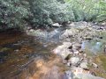 DSCN1437